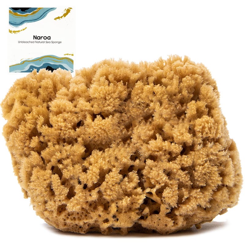 Naroa Massage Natural Shower Sponge X Large  Unbleached Body Scrubber Puff  Bath Sea Loofah for Healthy Skin  Sustainable Plastic Free